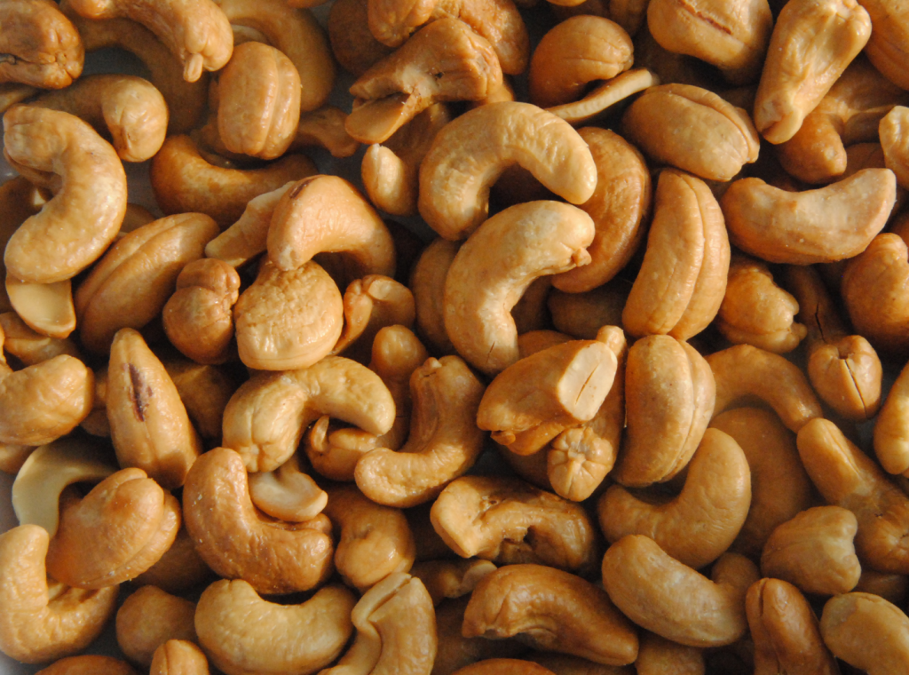 vietnam bulk cashew nut