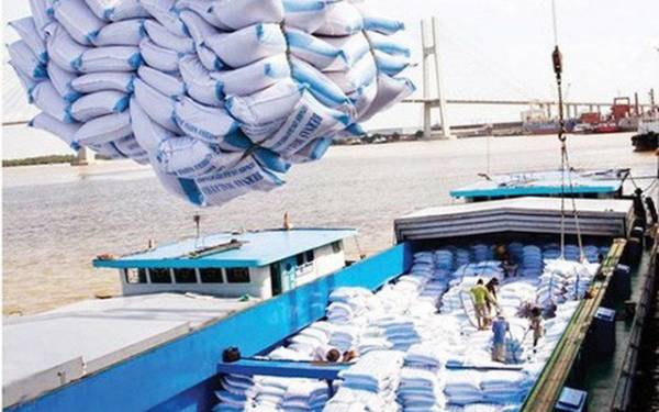 Vietnamese rice exports to China the largest volume in the past 5 years, particularly in the past 2 months