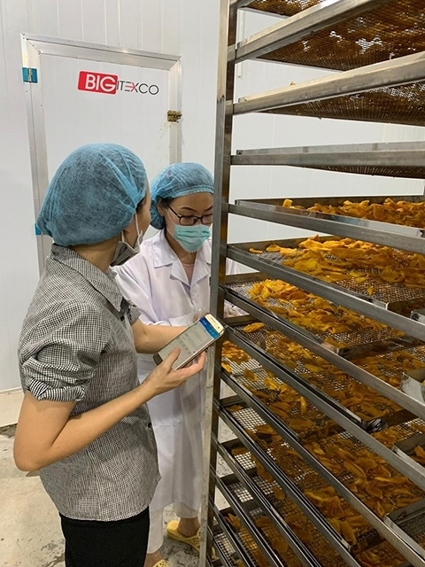 bigitexco kho lanh dried soft fruits - Bigitexco Vietnam cashew nut - Pepper - Dried Fruit company