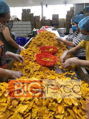 Organic soft dried jackfruit vietnam - Bigitexco Vietnam cashew nut - Pepper - Dried Fruit company