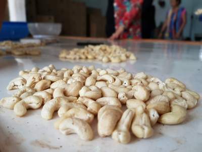 Vietnam Cashew nut