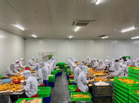OEM snack production vietnam factory