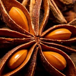 vietnam-star-anise-essential-oil vietnam-star-anise-essential-oil