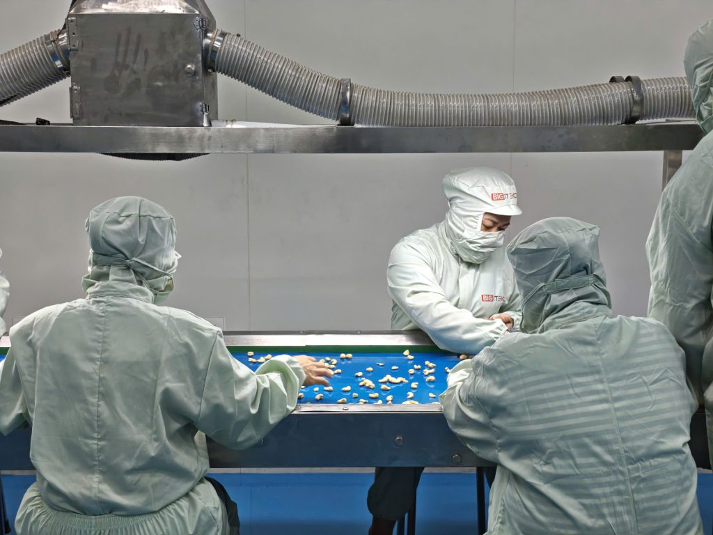 Working Following Global Food Safety Standards